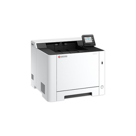 Ecosys PA2101CWX